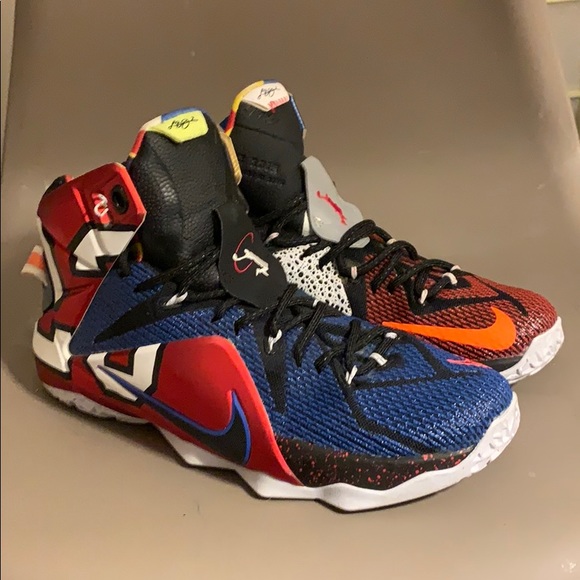 Nike Other - Nike LeBron 12 “what the LeBron” - size 10